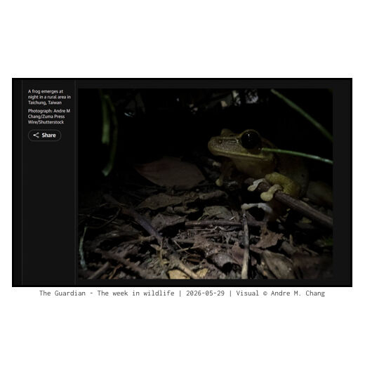 The Guardian - The week in wildlife
